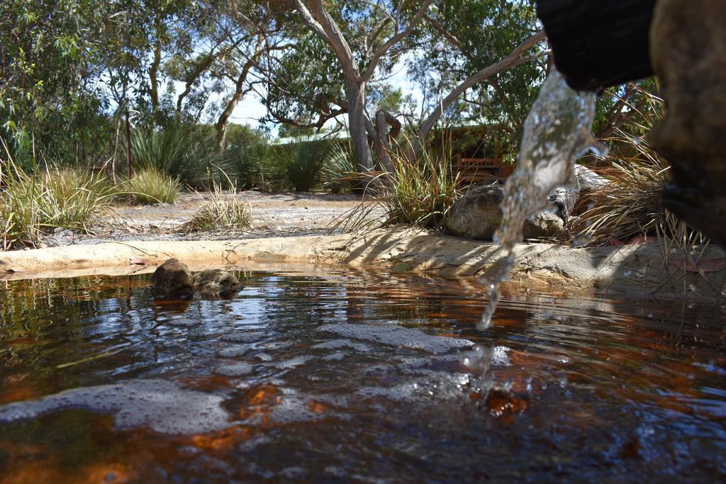 Kangaroo Island Wilderness Retreat فليندرز تشيس المظهر الخارجي الصورة