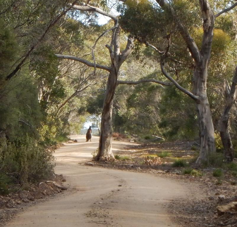 Kangaroo Island Wilderness Retreat فليندرز تشيس المظهر الخارجي الصورة