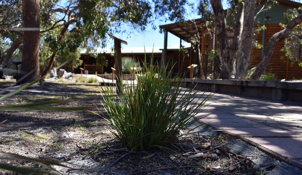 Kangaroo Island Wilderness Retreat فليندرز تشيس المظهر الخارجي الصورة
