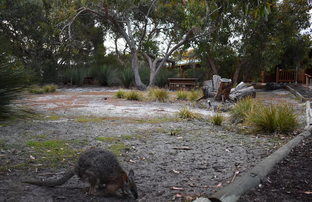 Kangaroo Island Wilderness Retreat فليندرز تشيس المظهر الخارجي الصورة
