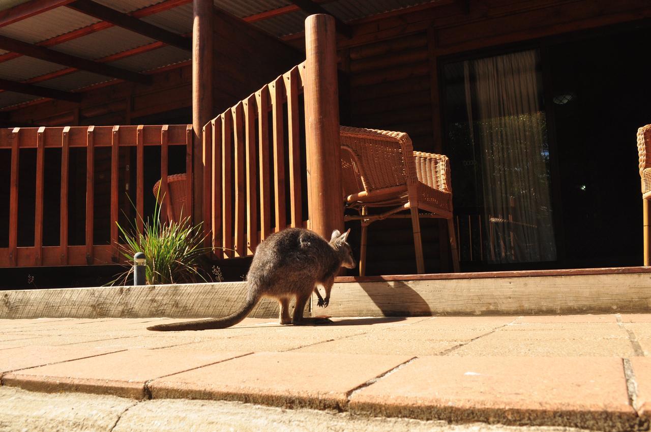 Kangaroo Island Wilderness Retreat فليندرز تشيس المظهر الخارجي الصورة
