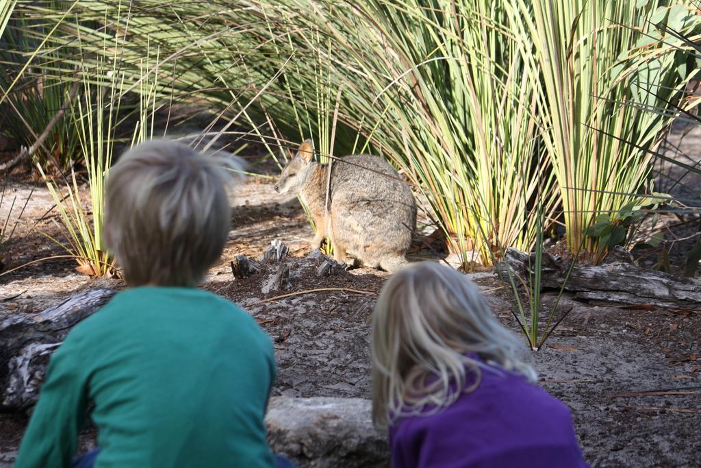 Kangaroo Island Wilderness Retreat فليندرز تشيس المظهر الخارجي الصورة